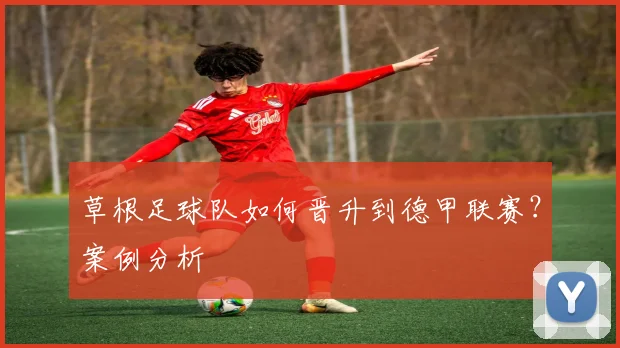 草根足球队如何晋升到德甲联赛？案例分析