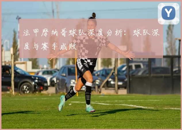 法甲摩纳哥球队深度分析：球队深度与赛季成败